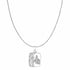 Zarkan Silver Hanuman Ji Pendant With Chain