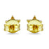 Zarkan Golden Star 925 Silver Studs