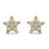 Zarkan Golden Star 925 Silver Studs