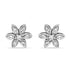 Zarkan Lily Zircon Silver Studs