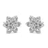 Zarkan Fire Flora 925 Silver Earrings