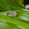 Hallmark Silver Starlight Petals Ring