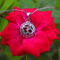 Zarkan 925 Silver OM Pendant With Chain