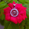 Zarkan Silver OM Pendant With Chain