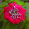 Zarkan 925 Silver Radhe Radhe Pendant With Chain