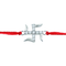 Zarkan Pure Silver 925 Swastik Rakhi With Roli Chawal