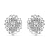 Zarkan Nature's Art Silver Jewelry Set