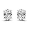 Zarkan Oval Omen Silver Studs