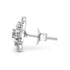 Zarkan Bliss In Nature Silver Studs